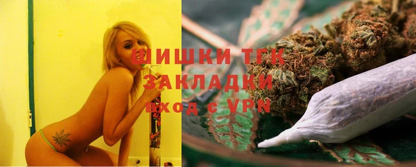 индика Абинск