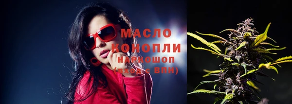 индика Абинск