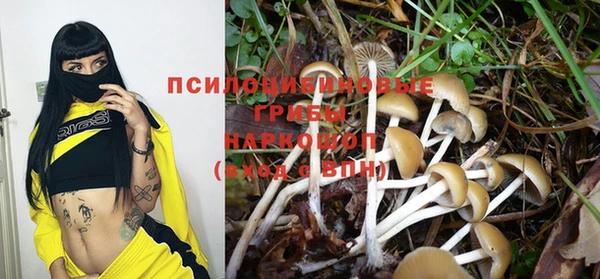 сатива Абдулино