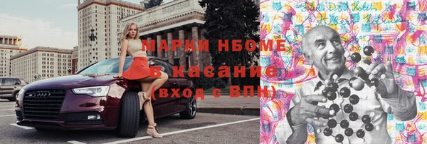 индика Абинск
