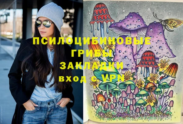 индика Абинск