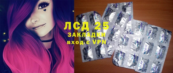 индика Абинск