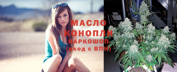сатива Абдулино