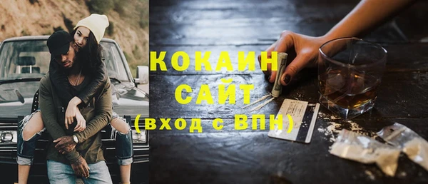 индика Абинск