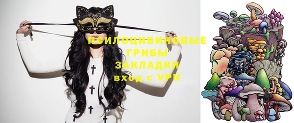 индика Абинск