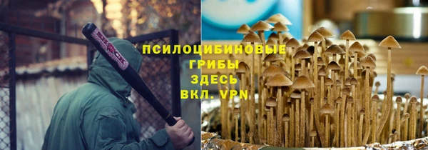 индика Абинск